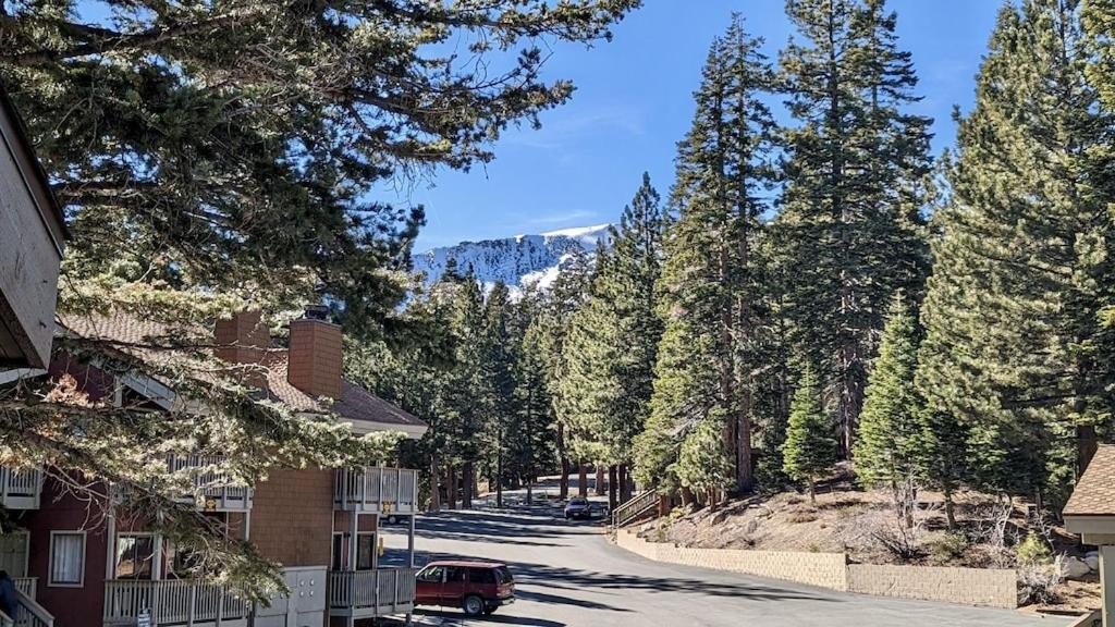 Apartment Cozy Walking Distance To Village And Gondola W/ Pool/ Jacuzzi Sleeps 4.